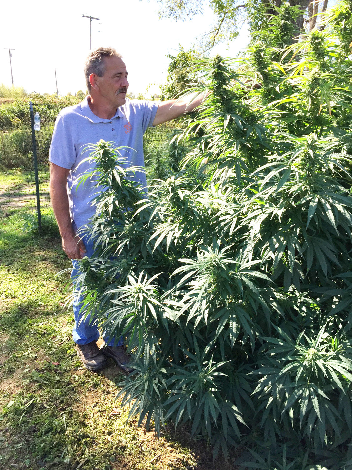 Kenny Oakley poses with a happy hemp plant.