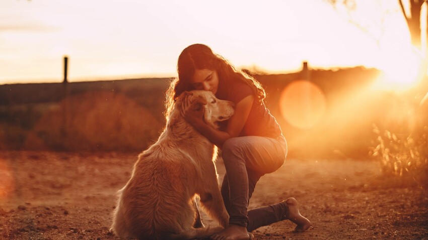 Animal Mindfulness: An Online Course With the Omega Institute | Blue ...