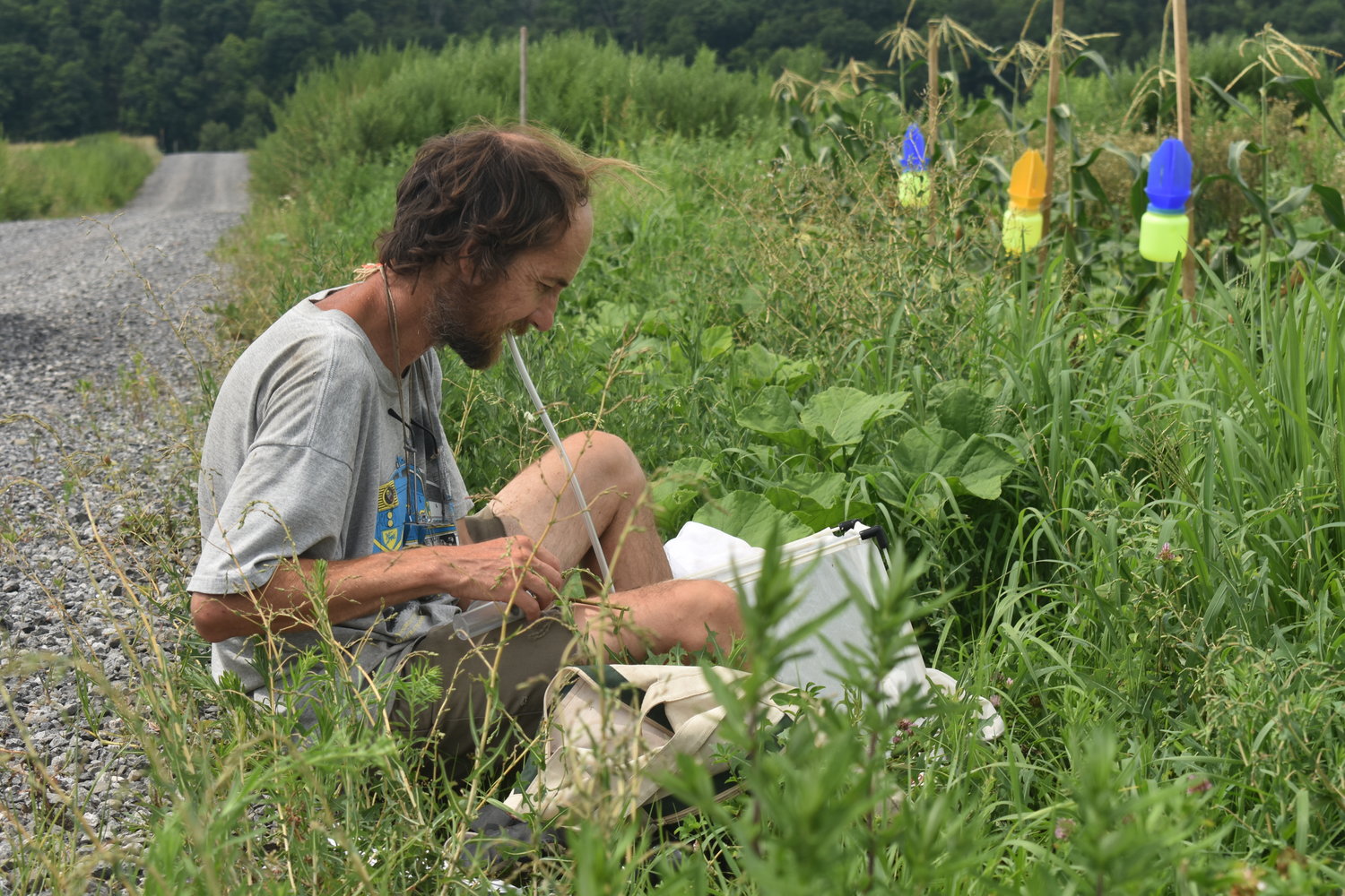 Conrad Vispo of Hawthorne Valley is the lead researcher for the Native Meadow Trial at the Hudson Valley Farm Hub in September 2021.
