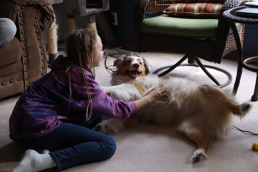 Bohdana Sheveria, 11, has cried often since her family left Ukraine because they had to leave their dog and two cats behind, her mother said. Since arriving, Bohdana has bonded with their host family's horses and Bailey, the family's Australian shepherd.