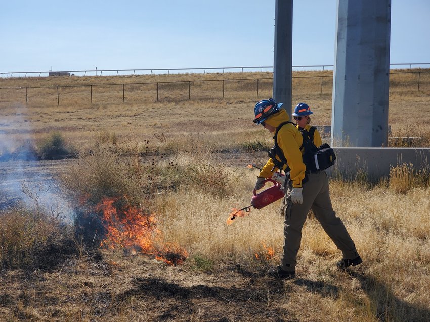 Ashley Cappel practicing back burning, a method of stopping a wildfire from spreading by creating controlled fires, during a quarterly training event.