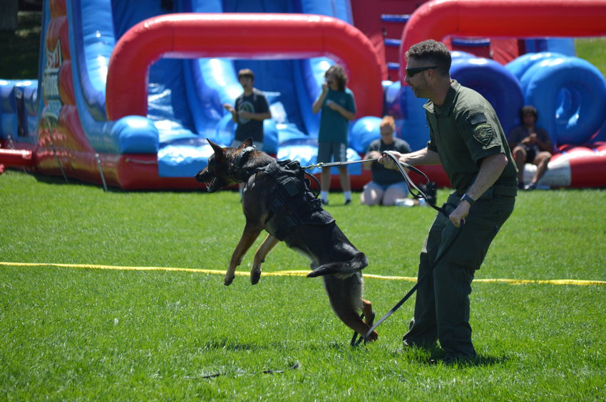 Arapahoe County Sheriff’s Office did a bite demonstration at the “RexRun for PAWSitivity” event, held Aug. 6 at Dove Valley Regional Park.
