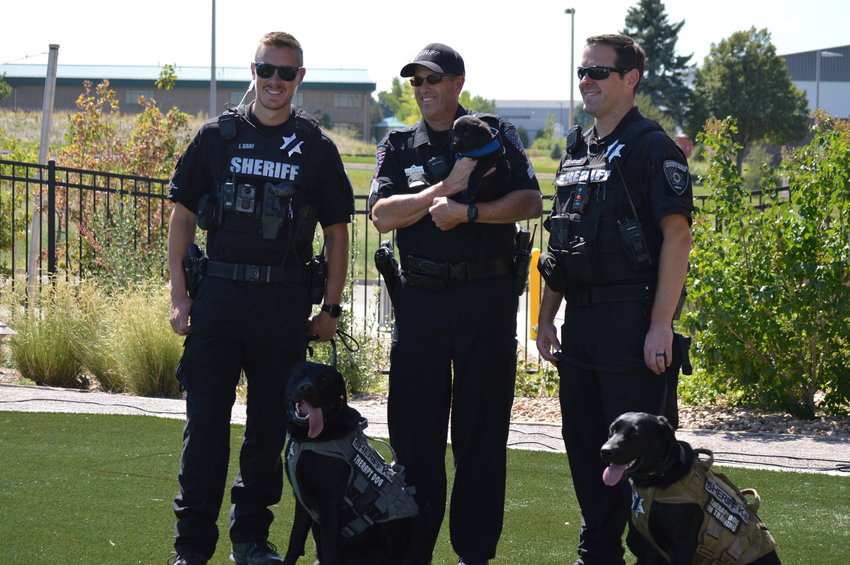 The agency’s three therapy dogs — Rex, left, Riley and Zeke — pose together during Riley’s swearing-in ceremony on Sept. 12 at the agency’s K-9 training field in Centennial.