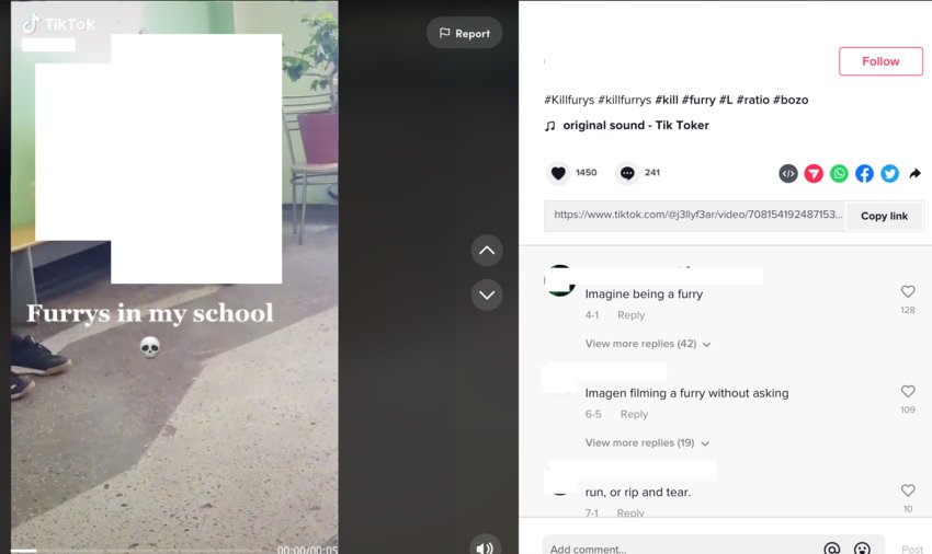 Screenshot of a TikTok showing a poster, claiming to be a student, filming a classmate dressed in animal accessories, with "killfurrys" in the caption. 
