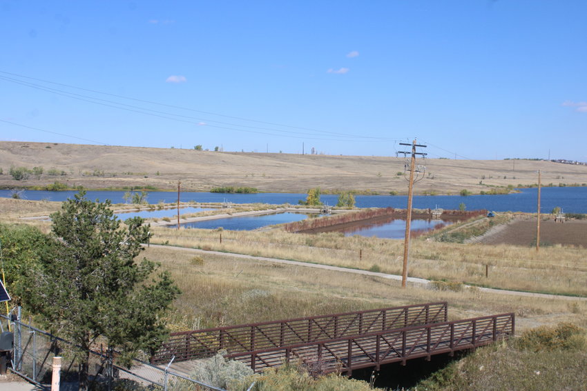 Water treatment ponds outside the Ralston Water Treatment Plant.