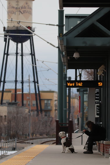 A man with his dog sits at the Arvada Olde Town station on the G-Line, waiting for the train.