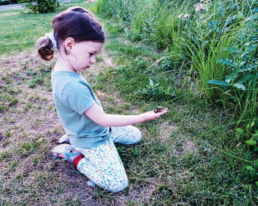 Near the Lily Pond in Washington Park, T&eacute;a Connors, 3, makes friends with a baby bullfrog, the largest North American frog which can weigh up to one pound when full grown.