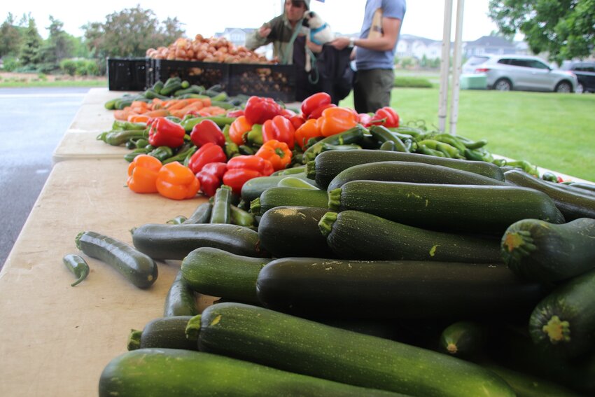 Fresh vegetables line the table at the Miller Farms tent during a wet opening Saturday at the Westminster Farmers Market on June 3.