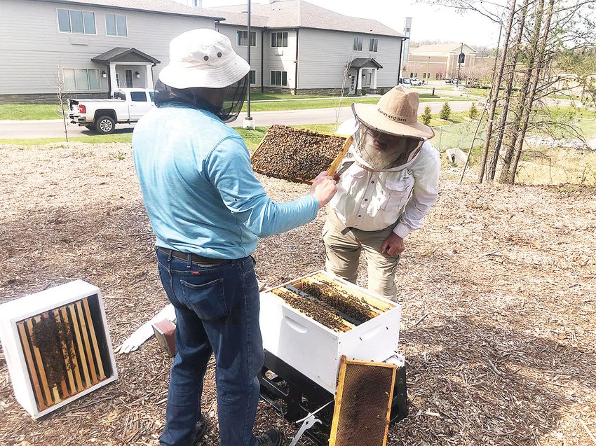 MICHAEL FINNELL, left, and his father, Mike, work at placing the frames into the boxes where bees will produce honey that will be available for residents and visitors at Avail Senior Living.
