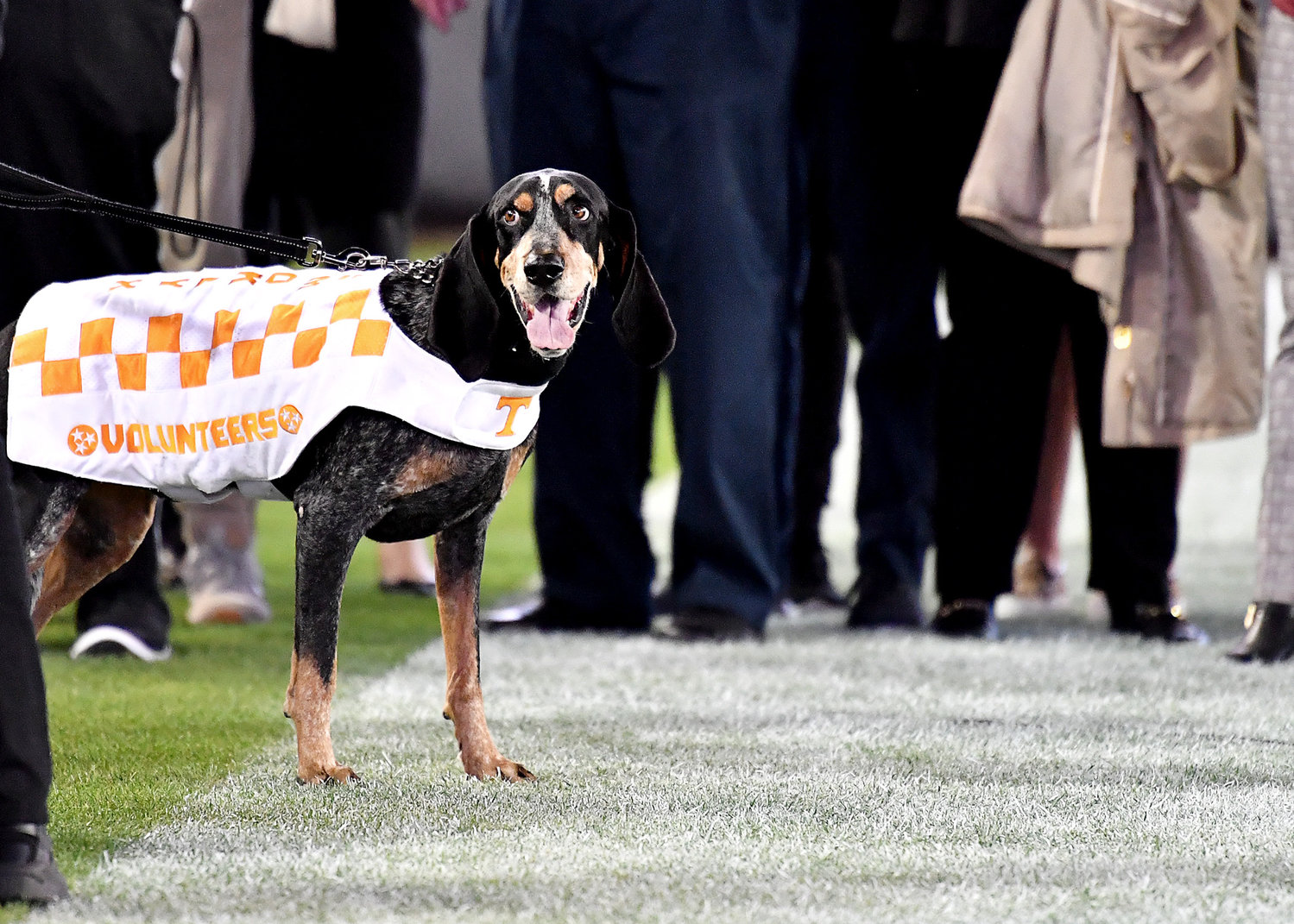 Tennessee Volunteers mascot, Smokey, watches pregame ceremonies for the Gator Bowl NCAA football game between the Indiana Hoosiers and the Tennessee Volunteers Thursday, January 2, 2020, at TIAA Bank Field in Jacksonville, Fla.