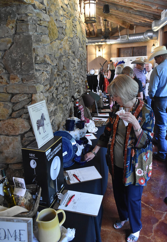 Patrons had a choice of numerous silent auction items surrounding the room.