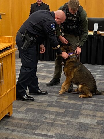 Weatherford Police Chief Lance Arnold awards a Purple Heart to K-9 Jack at a recent Weatherford City Council meeting while officer Preston Harper looks on. K-9 Jack was injured in the line of duty while answering a call with Harper..