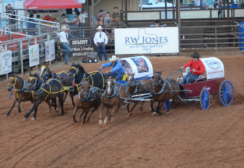 Ranch rodeos have distinct events such as wagon races, bison riding, and team wild cow milking.