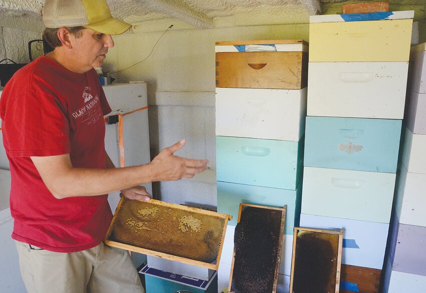 Wax hives are cleaned and boxes stored for future use after honey is extracted in a centrifuge.