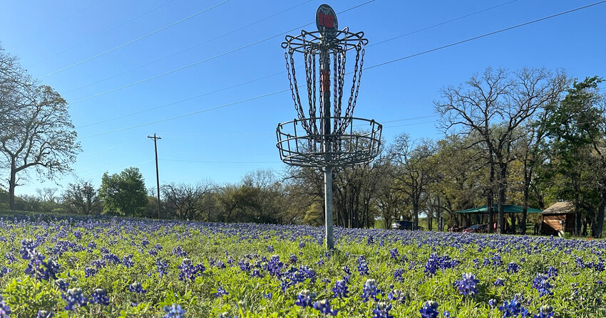 The Weatherford Disc Golf Course in the spring with bluebonnets in bloom is a beautiful sight.