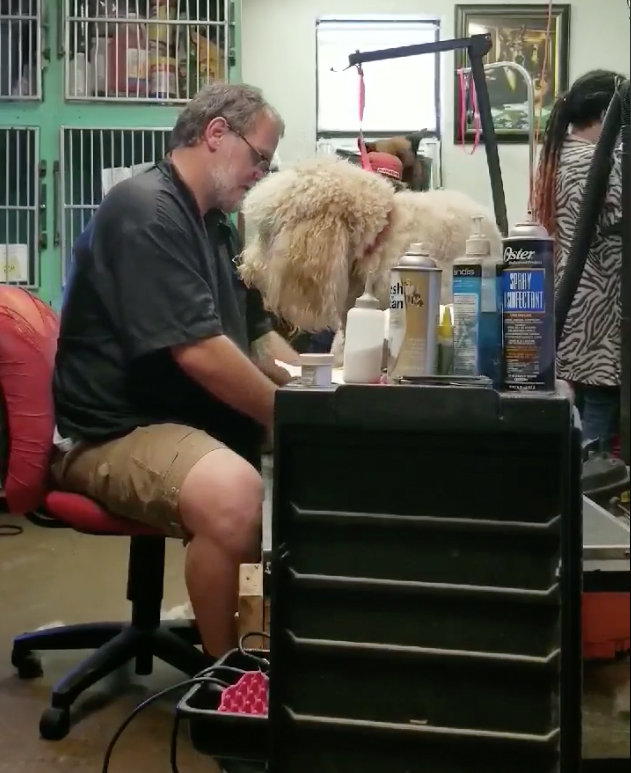 This screenshot is from the Facebook video that appears to show a groomer (background, red cap) striking a dog. The dog's owner and the business dispute that the animal was mistreated.