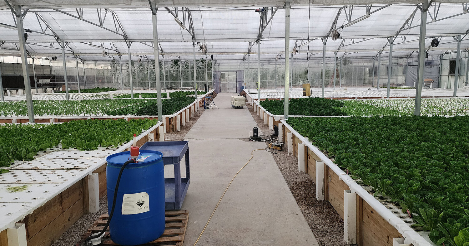 Products from River Valley Farms are created using hydroponic agricultural methods, a system developed by the Dutch.