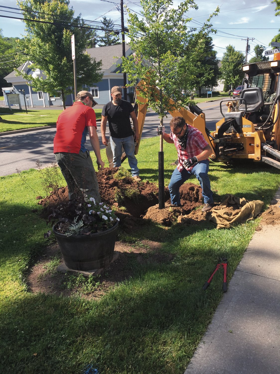 Franklin Gets New Trees  The Reporter (Catskills Today)