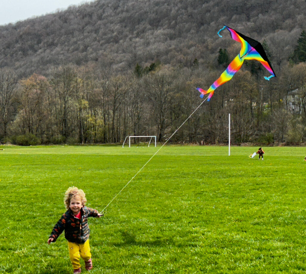 Breezy does it: Kite Flying Day celebrated in Delhi | The Reporter ...