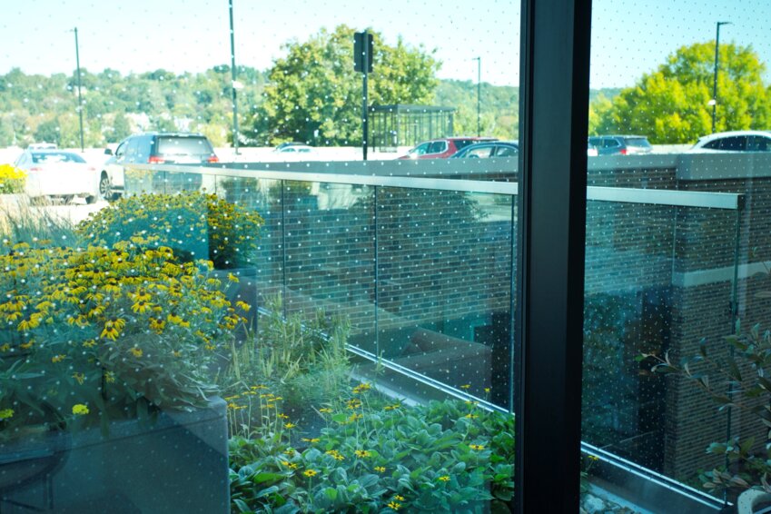 The VacuMax™ VIG units at the Hugel Welcome Center feature Solarban® 90 solar control low-e glass by Vitro on the second surface and AviProtek® pattern #217 bird-friendly glass on the outboard lite. (Photography: Jim Cunningham)