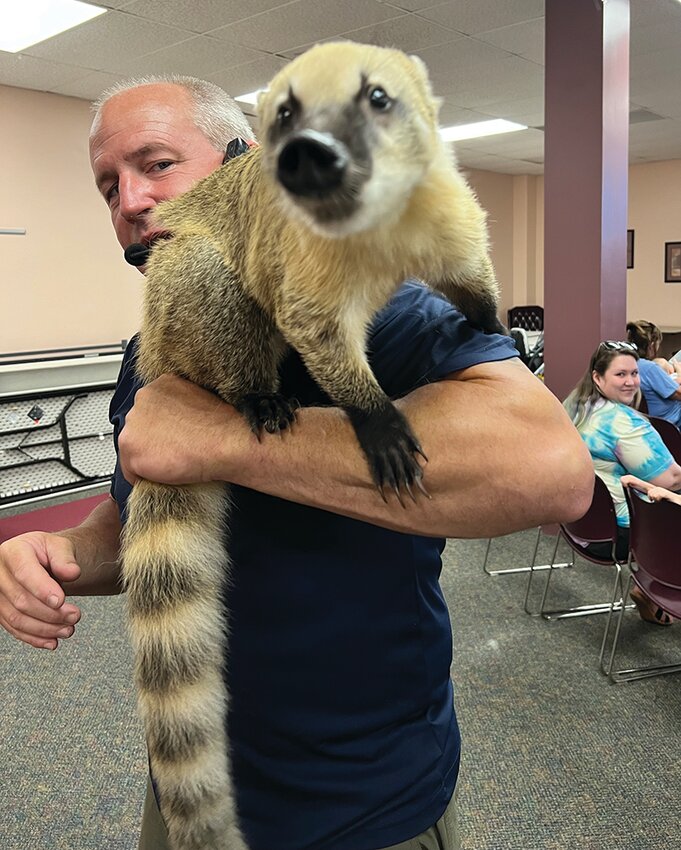 Derek from Wildlife Encounters brought a coatimundi to the library