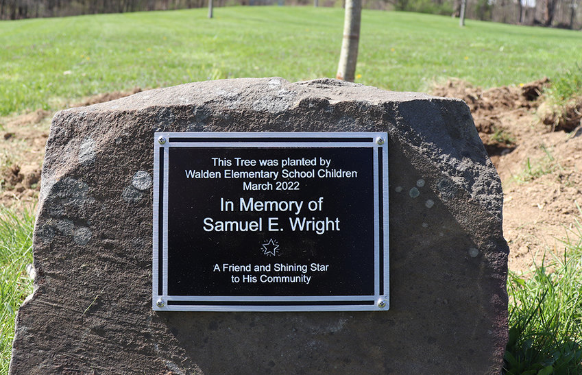 Plaque dedicating the tree to Samuel W. Wright.