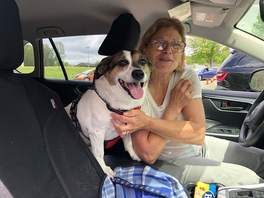 AJ the dog receives his rabies vaccine and is ready to head back home with his owner Virginia Basile.