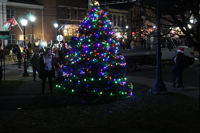 Spectators of the lighting ceremony take pictures of the newly lit tree.