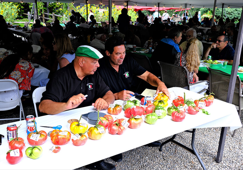 John Zago [L] and Joel Truncali look over the tomato submissions.