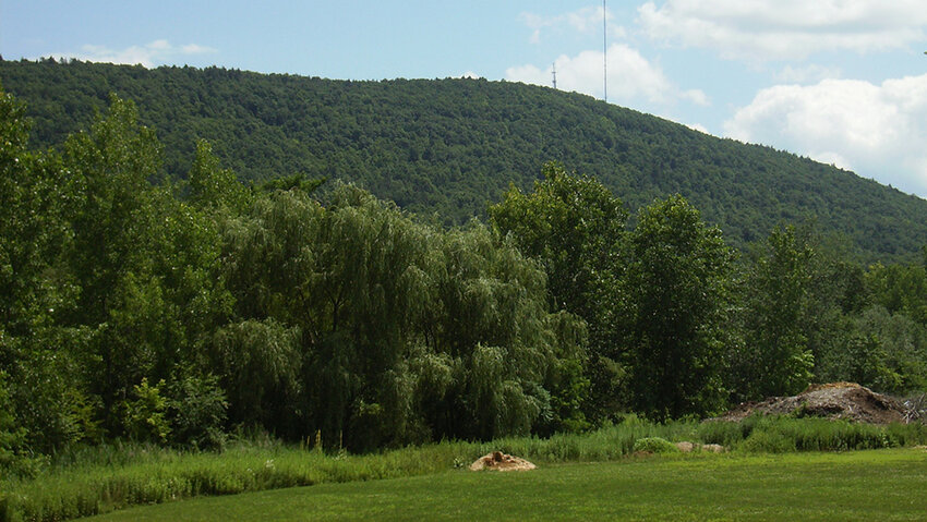 Some residents fear development could ruin their view of the top of Marlboro mountain.