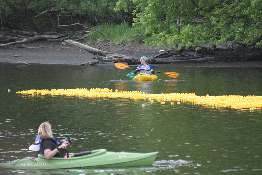 A record 2515 ducks were adopted and launched from the shore at Popp’s Park, Saturday for the race, which culminated an afternoon of events that included food, music, games, and a birds of prey show.