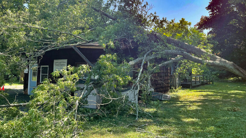 The Loaves and Fishes Food Pantry struck by a tree branch.