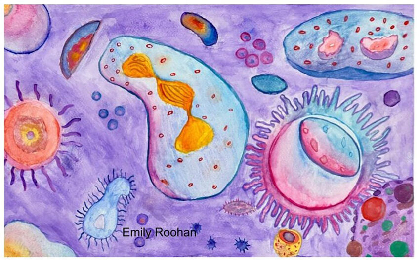 Emily Roohan