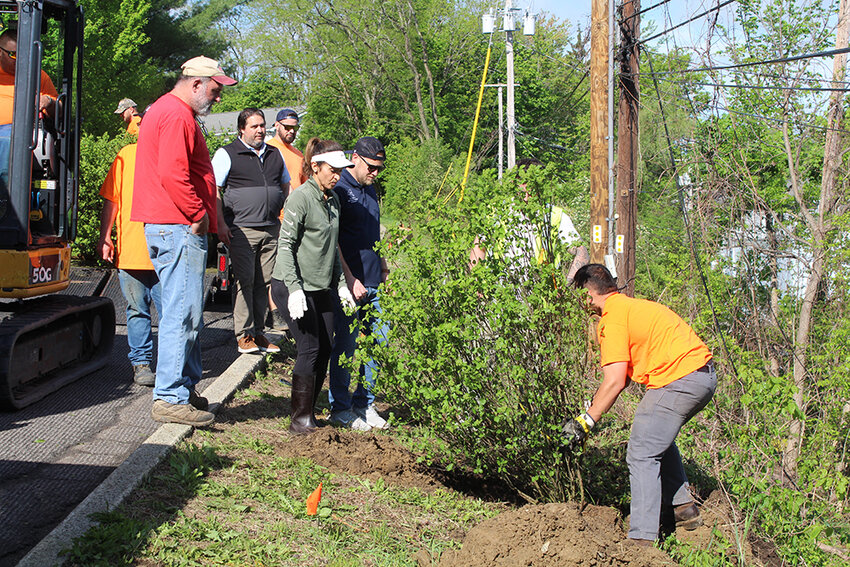 Town of Cornwall officials stopped by Warren Court on May 8 to assist members of the Highway Department in planting 10 new trees on the hillside above Cornwall Plaza.