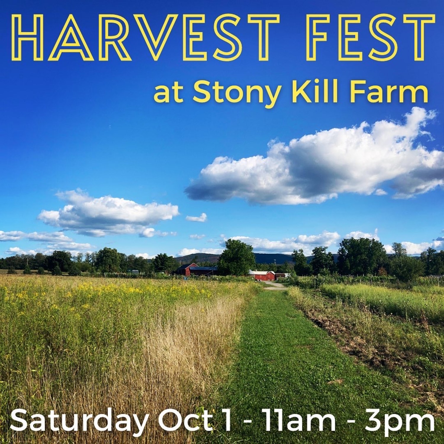 Harvest Fest at Stony Kill Farm My Hudson Valley