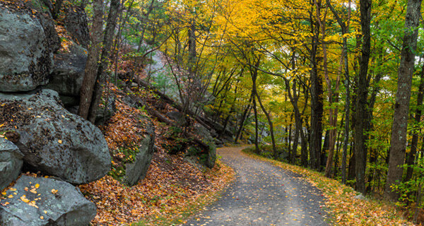 Millbrook Mountain hike | My Hudson Valley