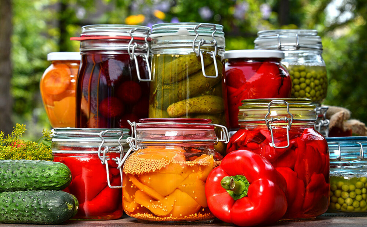 Kitchen Science: Pickling Program At Mid-Hudson Discovery Museum ...