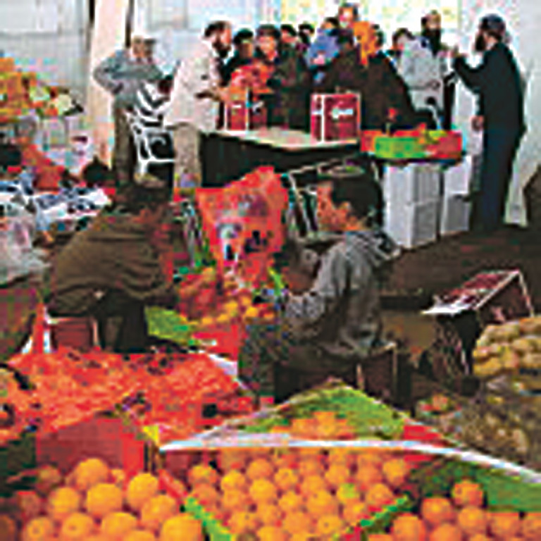 Matzoh Fund food distribution.