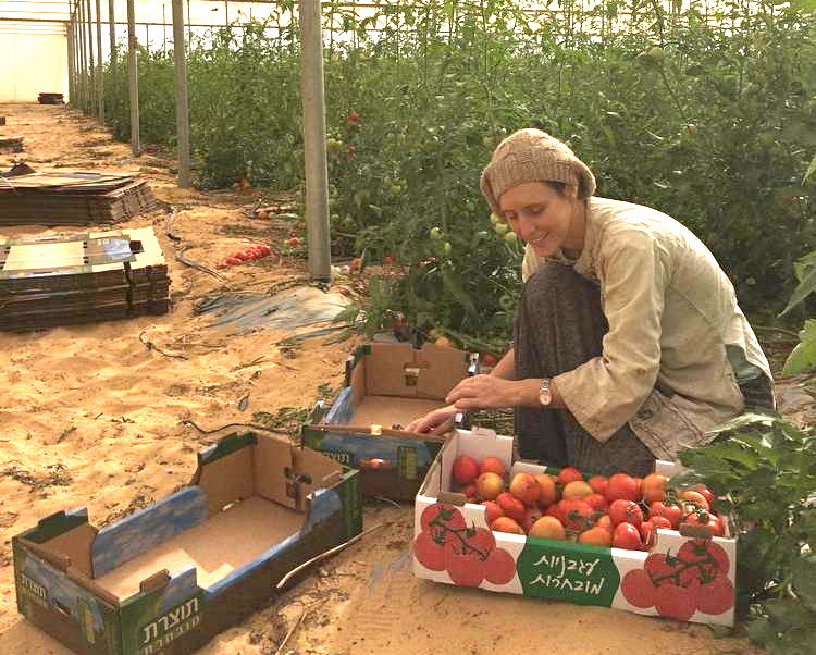 Nava Uner works in Bnei Netzarim, one of three Halutza (pioneer) communities in the Young Farmers Incubation Project.
