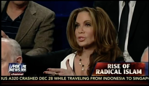 Pamela Geller in a Fox News discussion moderated by Sean Hannity.