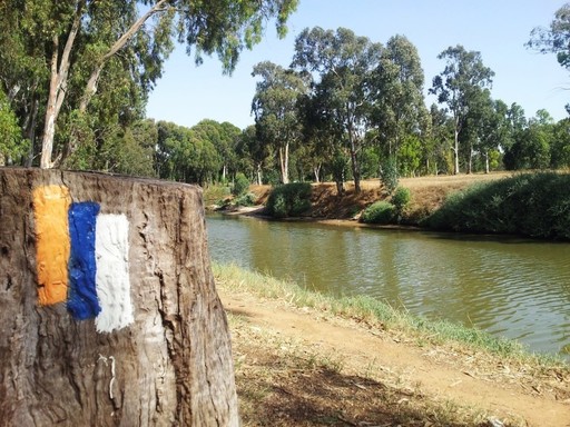 Yarkon Park along the Israel National Trail, with the trail&rsquo;s marker on the tree stump.