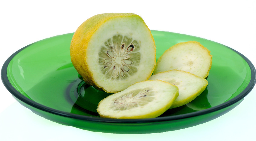 Etrog green fruit slice