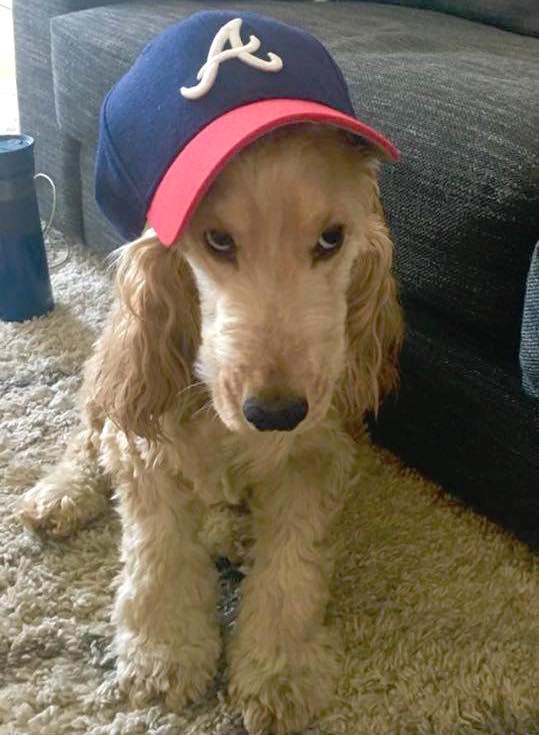 Penny is, of course, a Braves fan.