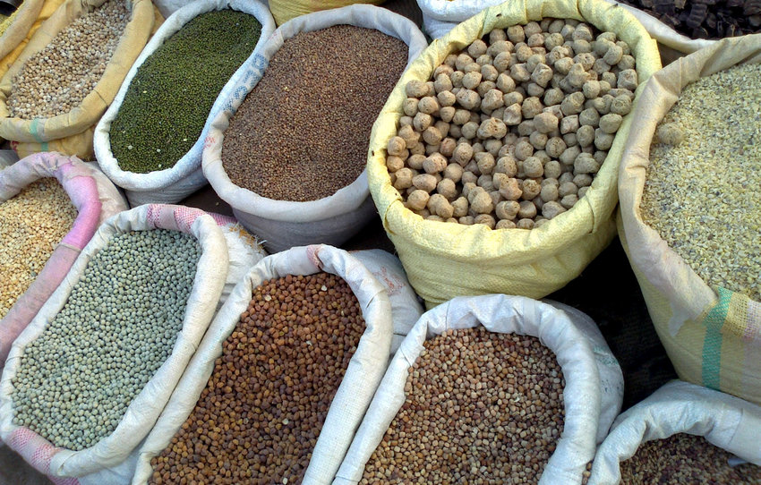Grains are included in the traditional dairy dishes associated with the holiday of Shavuot.