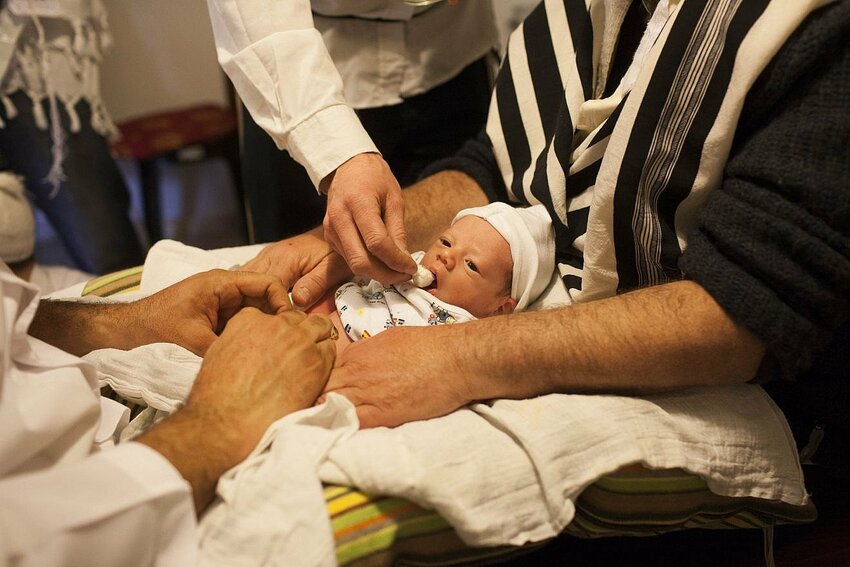 Jews perform a brit milah in Jerusalem on Dec. 12 , 2011. The brit milah is a religious ceremony within Judaism to welcome infant Jewish boys into a covenant between God and the Children of Israel through ritual circumcision performed by a mohel (circumciser), the ceremony takes place on the eighth day of the child's life.