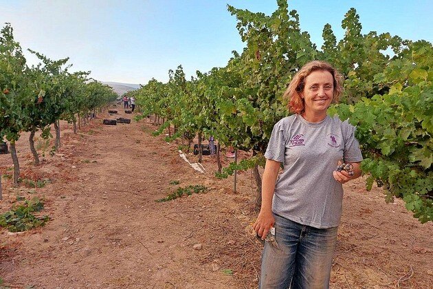 Tilling and tending the land of Israel.