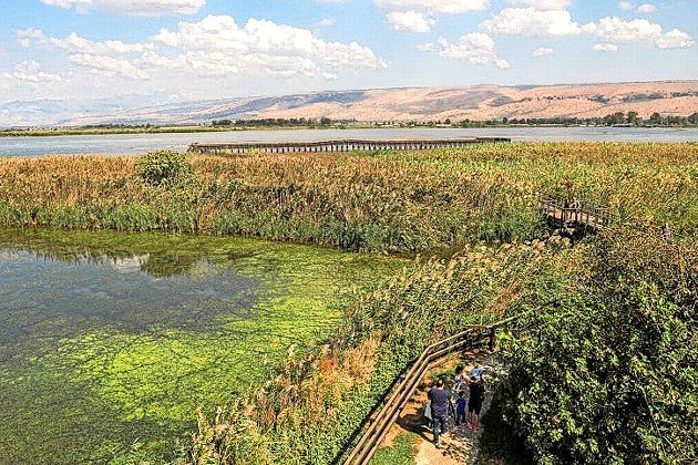 The Hula Nature Reserve in northern Israel.