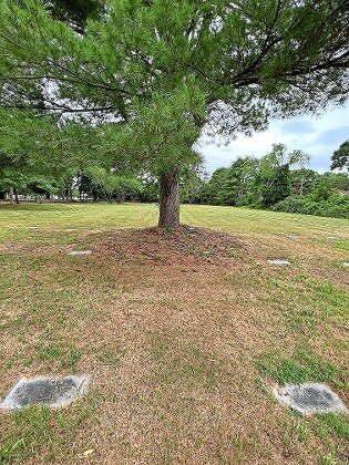 There are 500 graves in this Jewish section of the Central Islip State Hospital Cemetery. The grounds have been maintained in recent years through the efforts of the Jewish Law Institute at Touro Law School and the NYS Office of Mental Health.