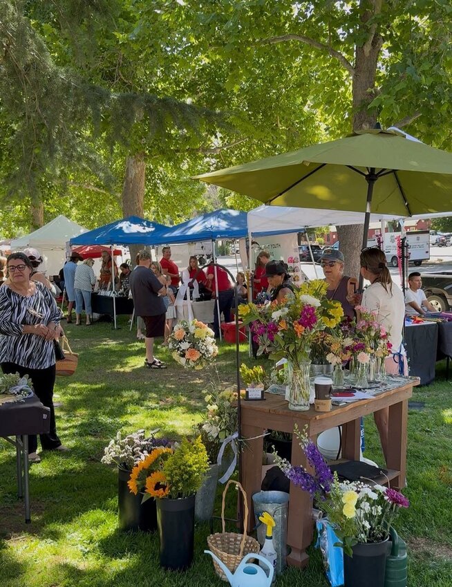 The chamber's Summer Festival beckoned  shoppers out, Saturday