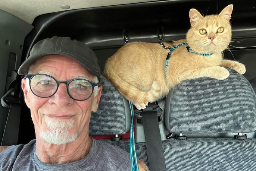 Tom Bates came home with a refugee, a street cat named Bobby Reznick. &ldquo;His favorite toy is a lightbulb.&rdquo;